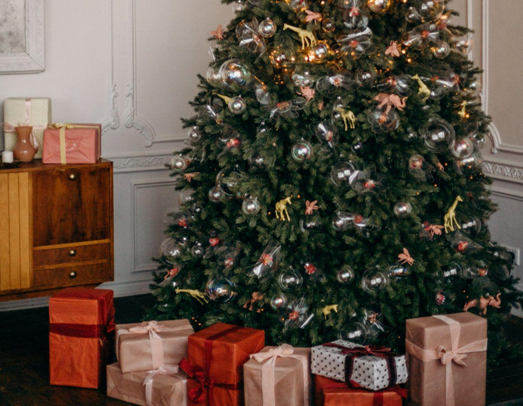 How to Find the Perfect Christmas Trees for Sale in Your Area