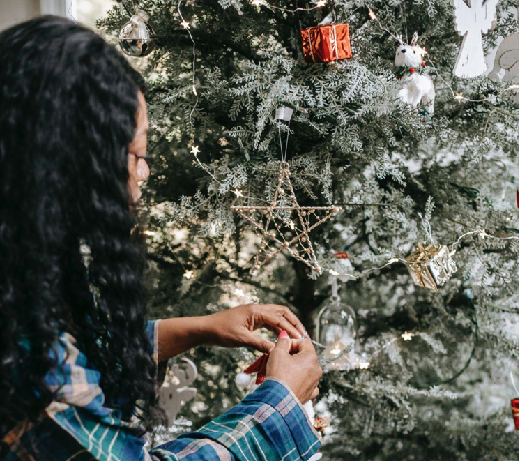 Discovering Christmas Tree Clearance